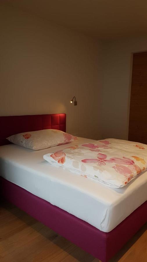 Appartement Mountainview 萨尔巴赫 外观 照片