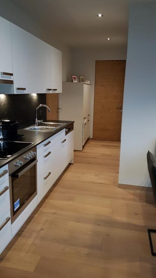 Appartement Mountainview 萨尔巴赫 外观 照片